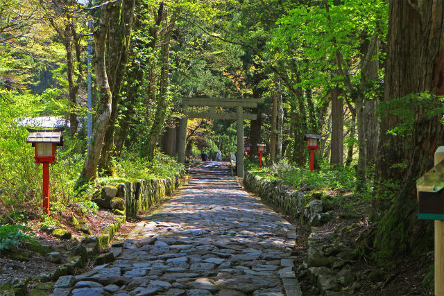 大神山神社へ続く石畳の参道