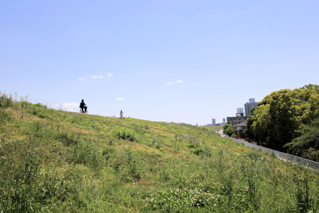 荒川土手