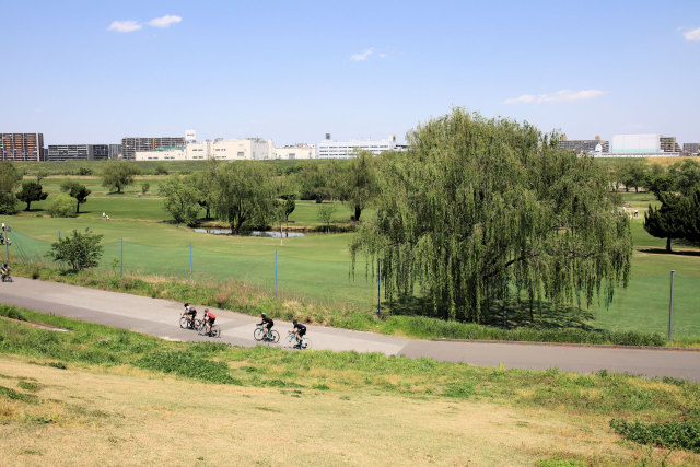 荒川河川敷