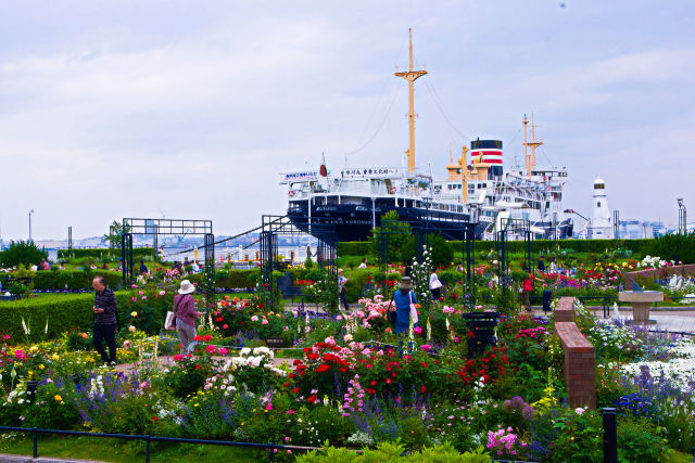 山下公園・氷川丸とバラ園