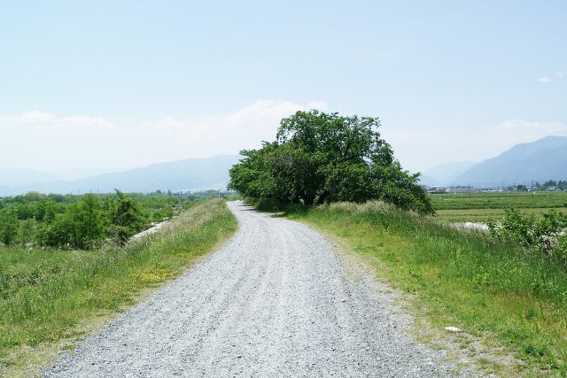 晴天のあずさの風景