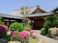 尼崎・寺町・長遠寺・庭園