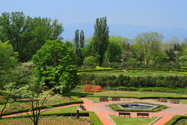 サイロの塔からの新緑風景