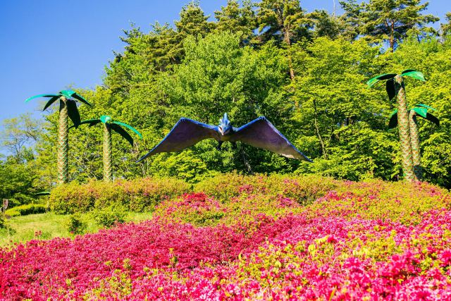 茶臼山恐竜公園のツツジ