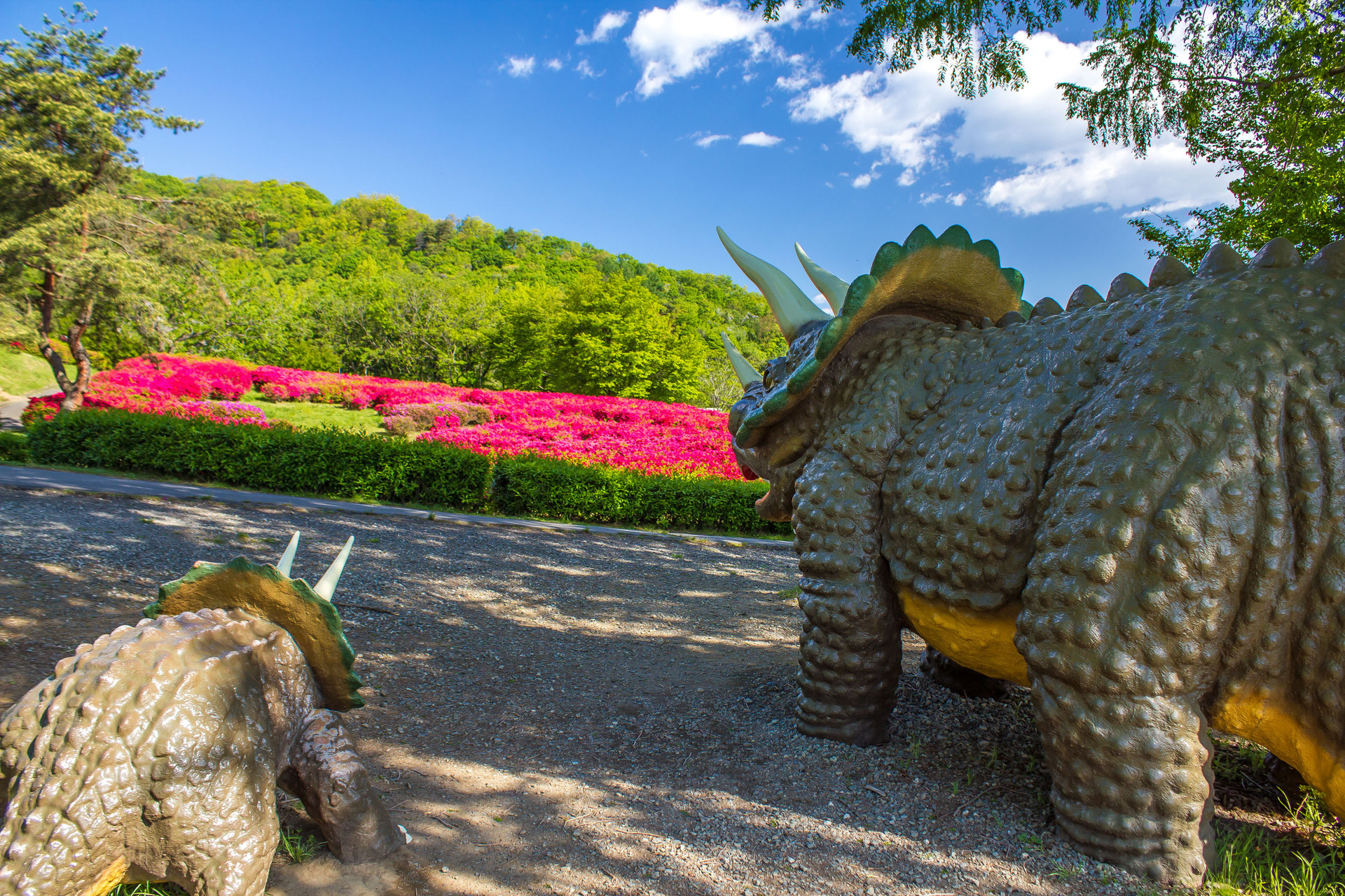 都市 街 室内 茶臼山恐竜公園のツツジ 壁紙19x1280 壁紙館