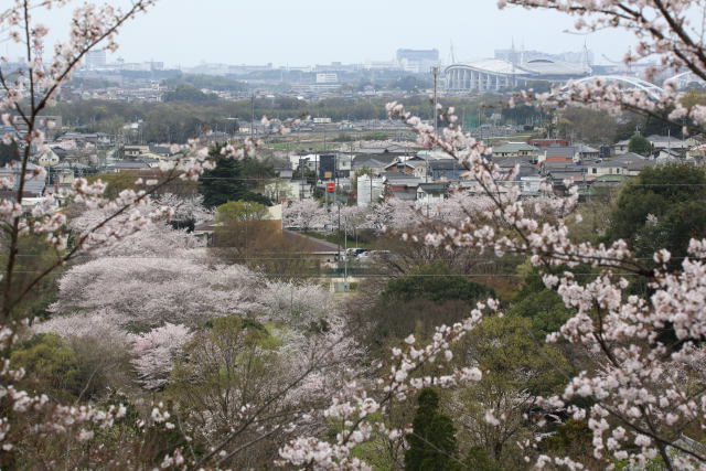 前田公園にて