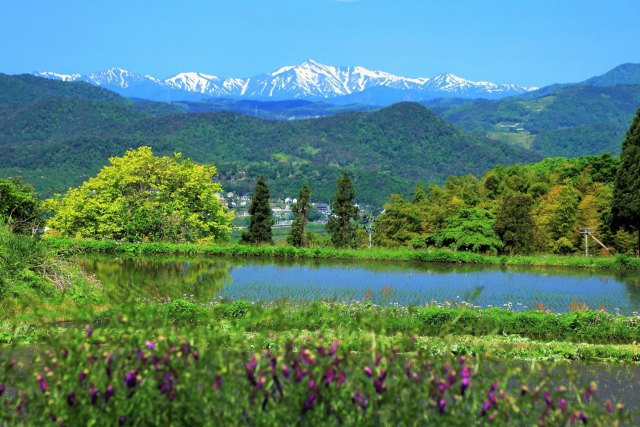 山形蔵王からの眺め