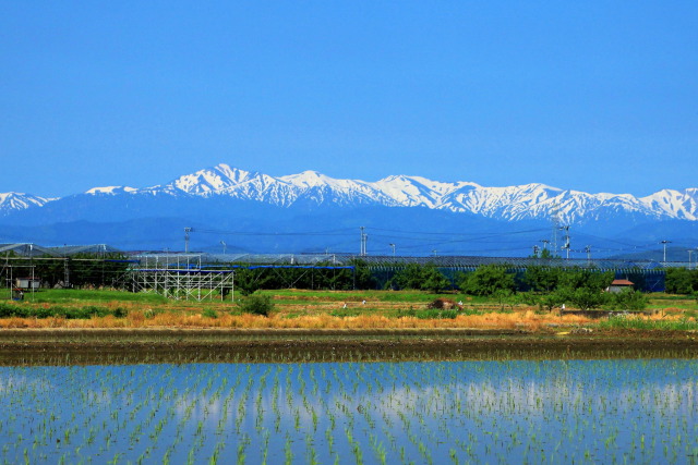 東根の風景