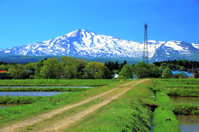 畦道と鳥海山