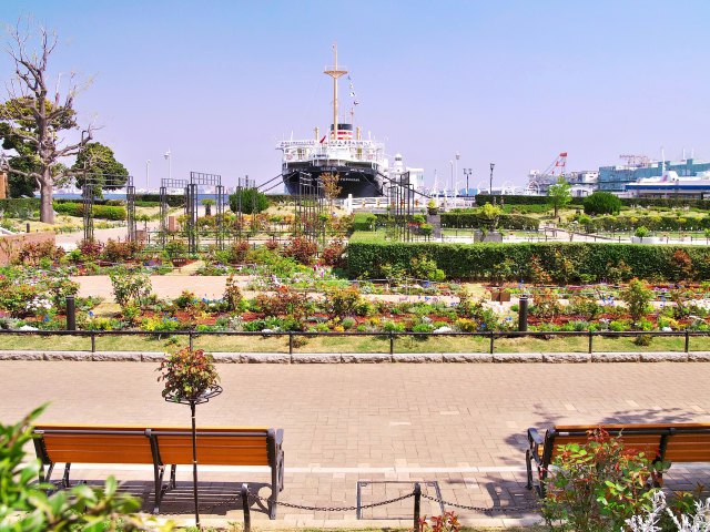 横浜 山下公園