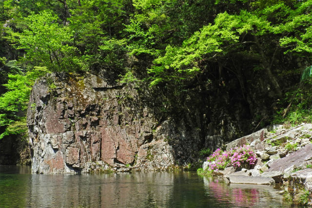 春の三段峡22