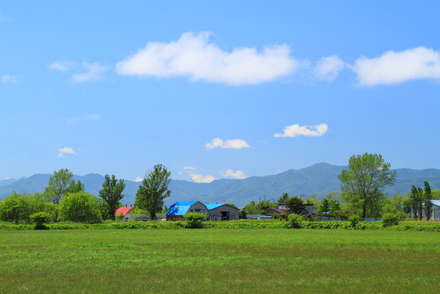 のどかな北の初夏風景