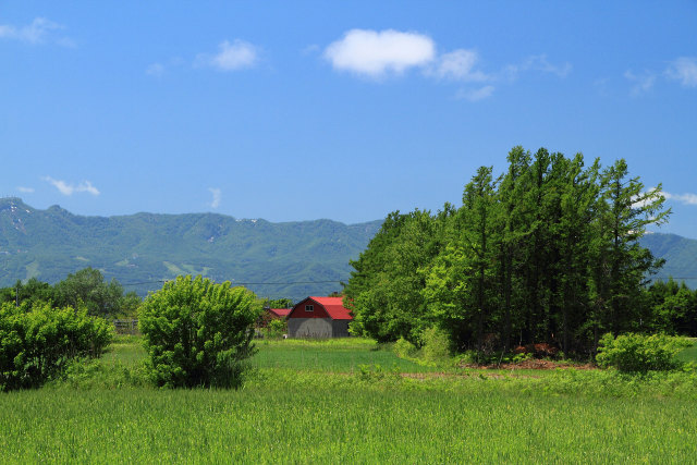 石狩より～新緑と赤い屋根の小屋