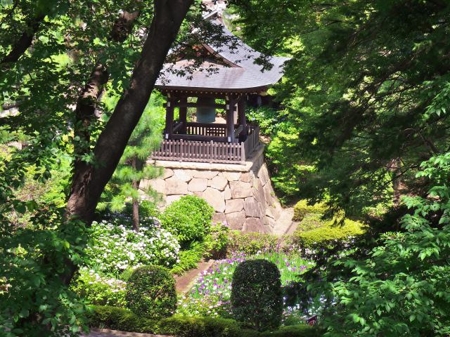 初夏の正覚寺