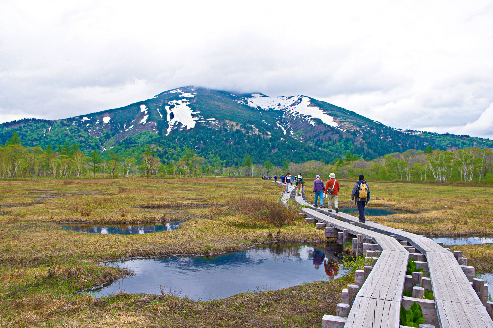 日本の風景 6月の尾瀬ヶ原 壁紙19x1280 壁紙館