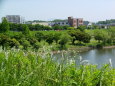 初夏の郊外風景