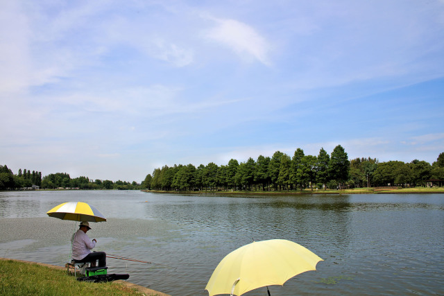 小合溜の釣り日和