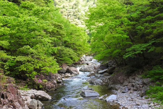 春の三段峡29