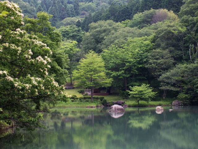 みたけの森