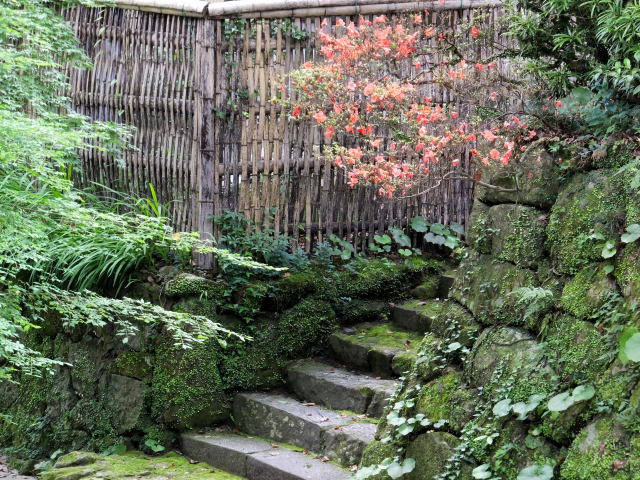 神社の境内で