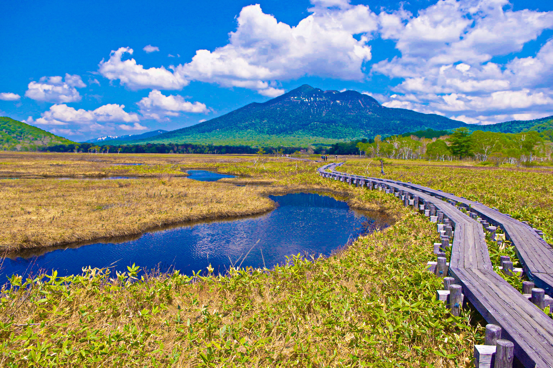 日本の風景 6月の尾瀬ヶ原 壁紙19x1280 壁紙館