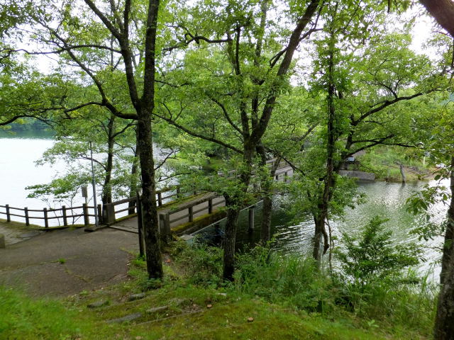 山上湖の遊歩道