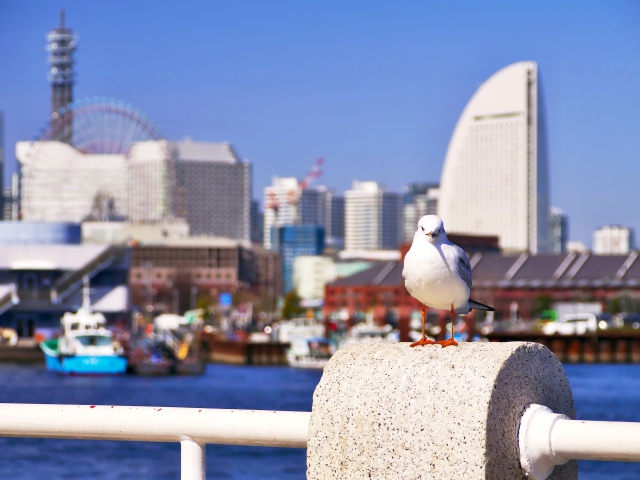 横浜みなとみらい21