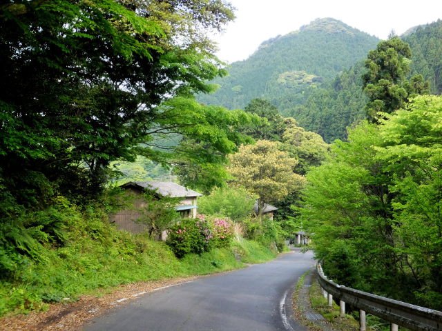 山間の道