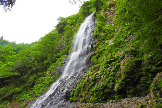 天滝渓谷10/天滝