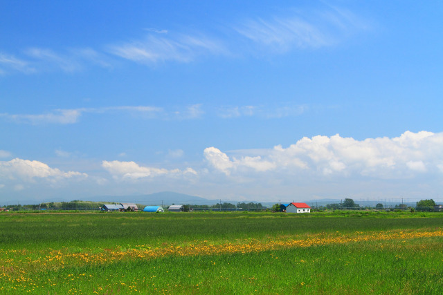 爽やか夏雲の石狩平野