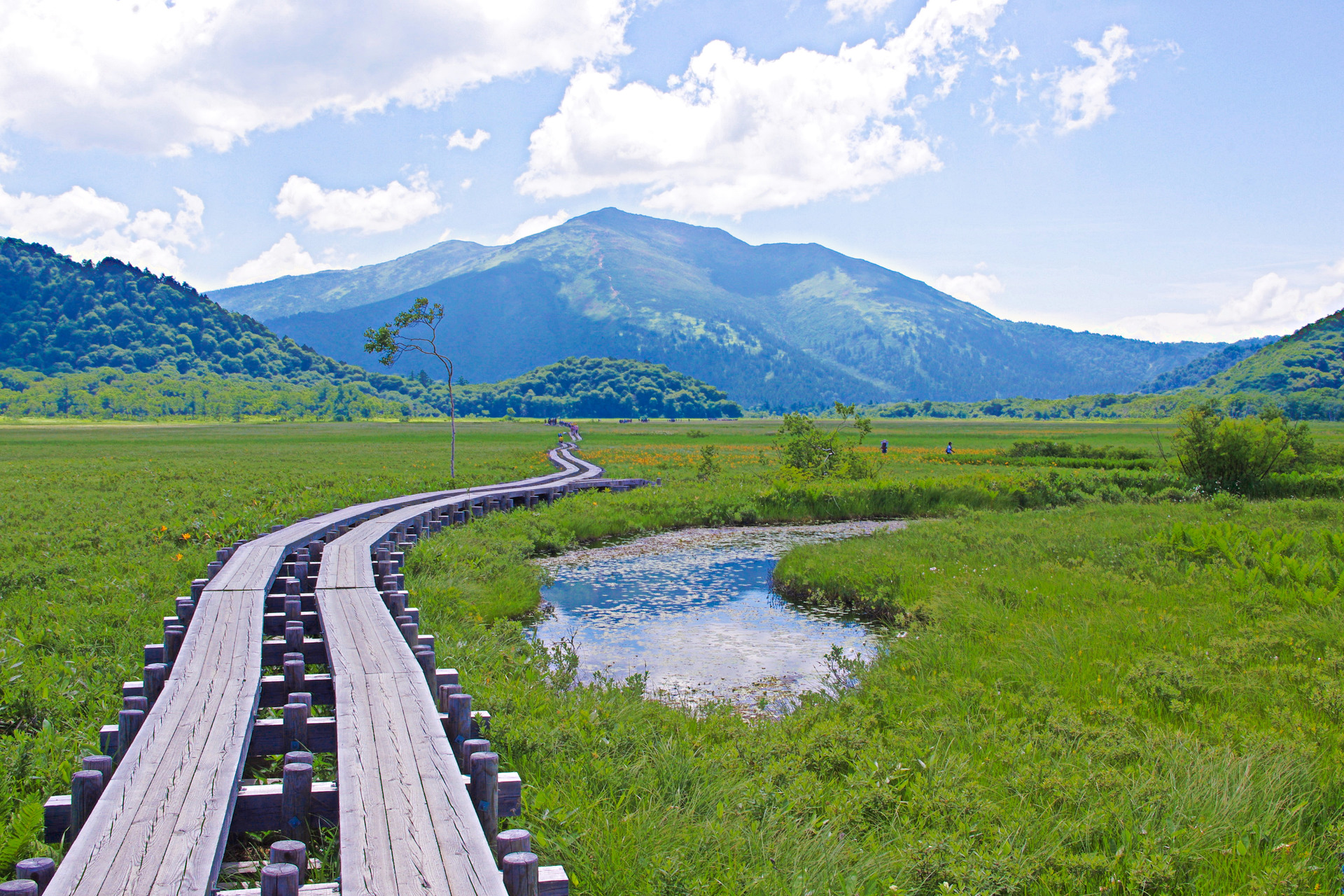 日本の風景 夏の尾瀬ヶ原 壁紙19x1280 壁紙館