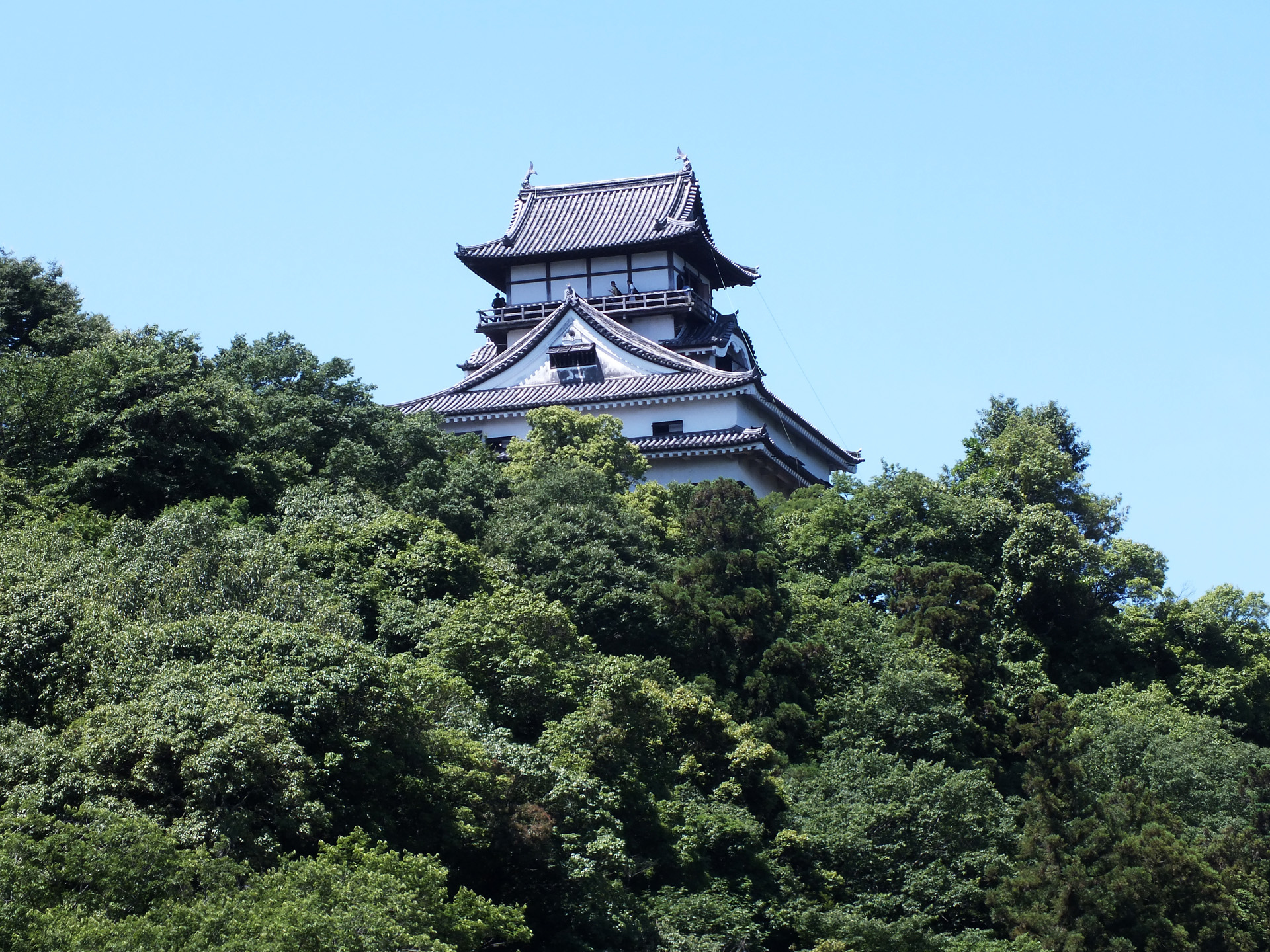 日本の風景 国宝犬山城 壁紙19x1440 壁紙館