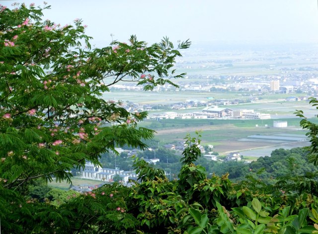 合歓の花咲く日の隈山から