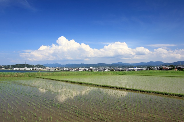 田舎の田園風景