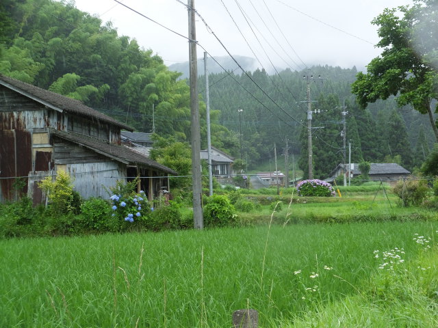 梅雨の山麓