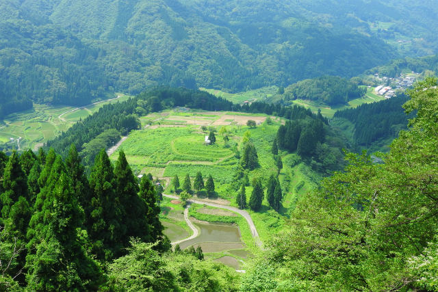 初夏の山里4/海上