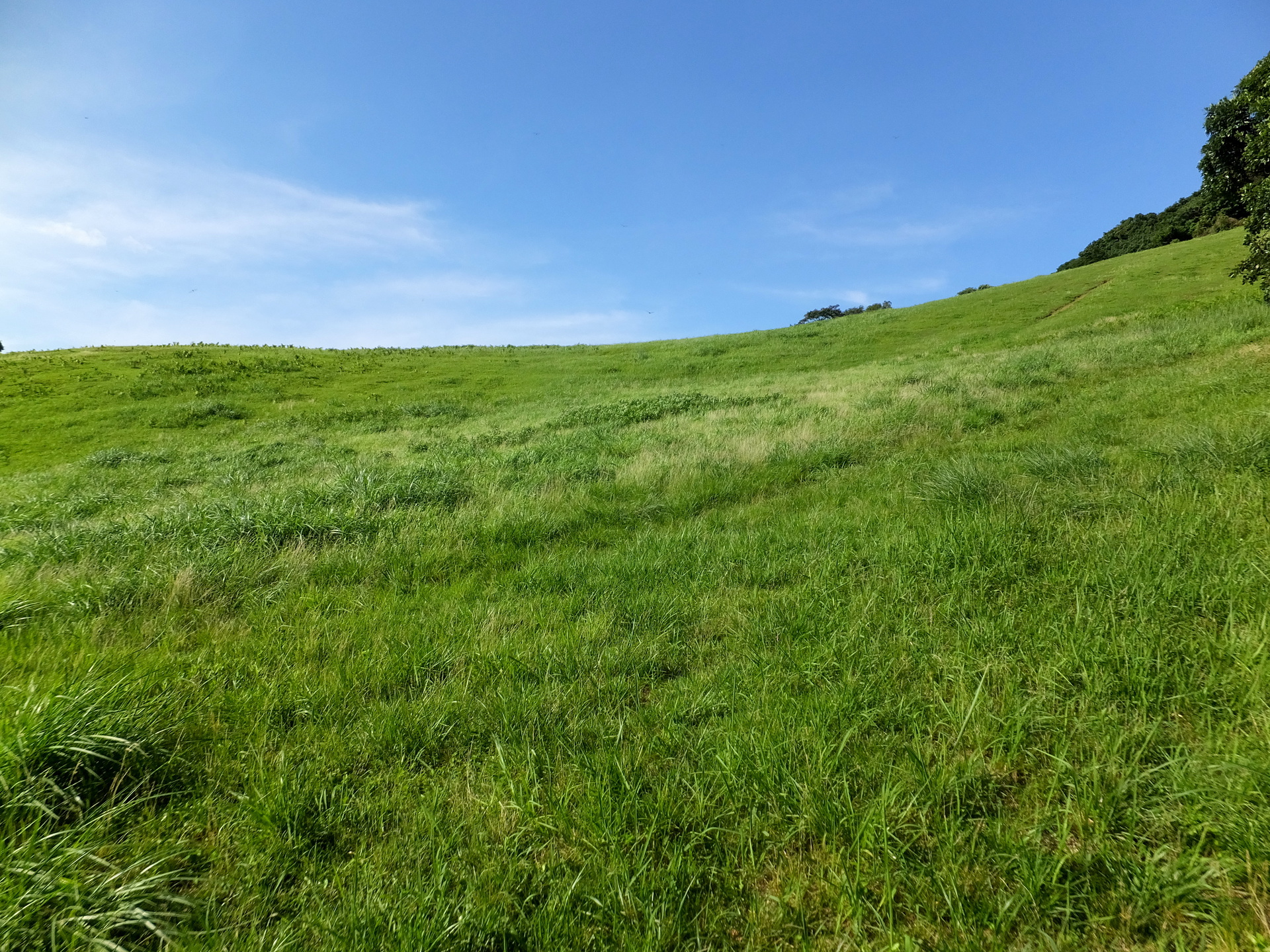 日本の風景 さわやかな草原の丘 壁紙19x1440 壁紙館