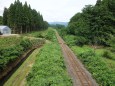 林の中の線路 陸羽東線