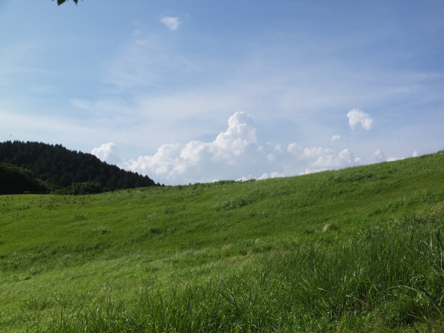 丘の上の雲