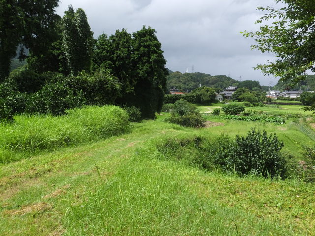 里山梅雨のにわか晴れ