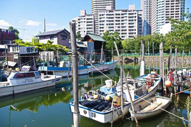 佃島 夏景色