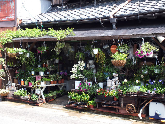 太田宿・宝造園生花部