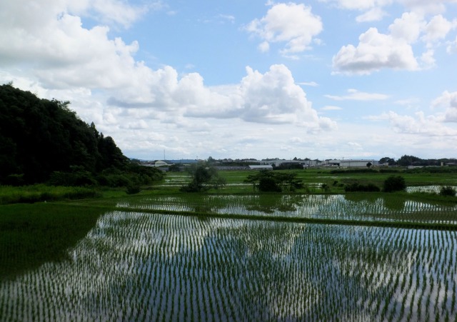 取り残された風景