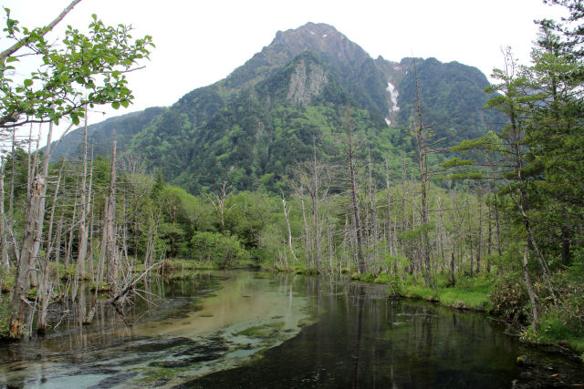 湿原をそっと見守る六百山