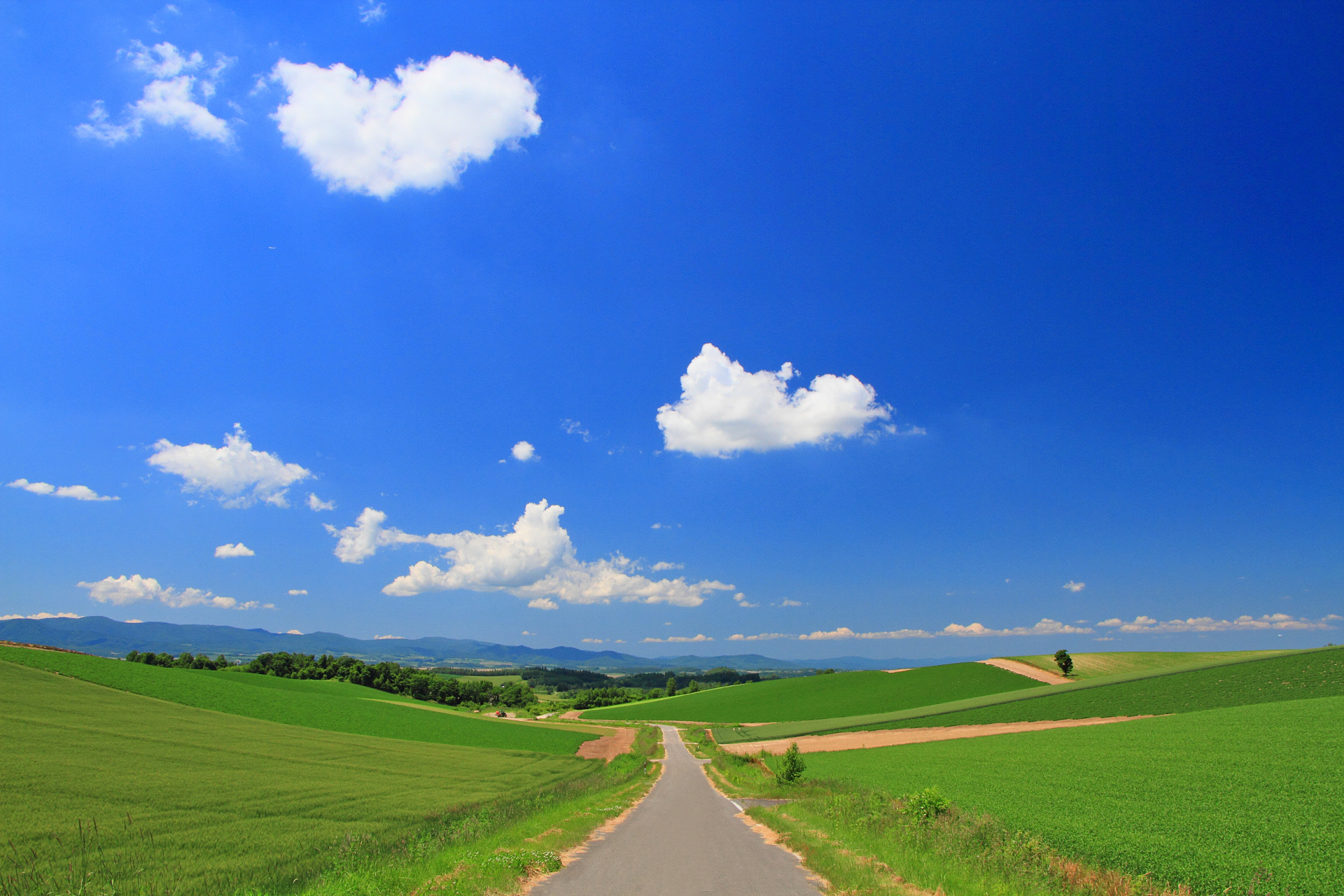 日本の風景 美瑛 夏の道 Part7 壁紙19x1280 壁紙館