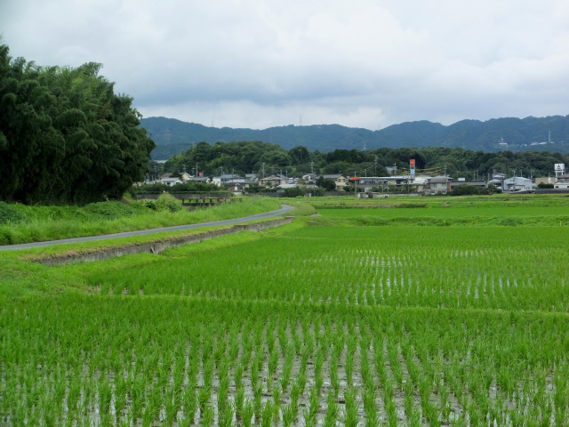 田んぼの向後に田舎町