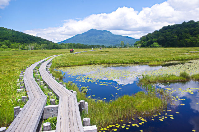 夏色の尾瀬