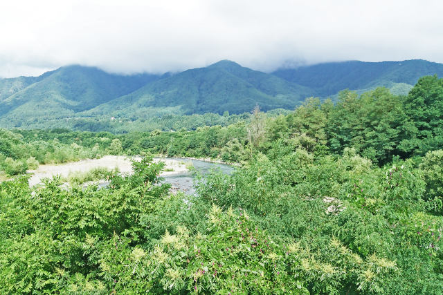 癒しのある風景