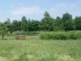 アルウィン公園の風景