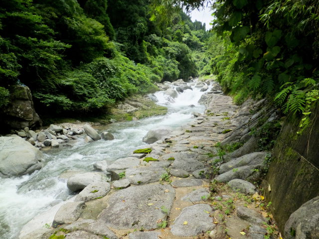 渓流の遊歩道